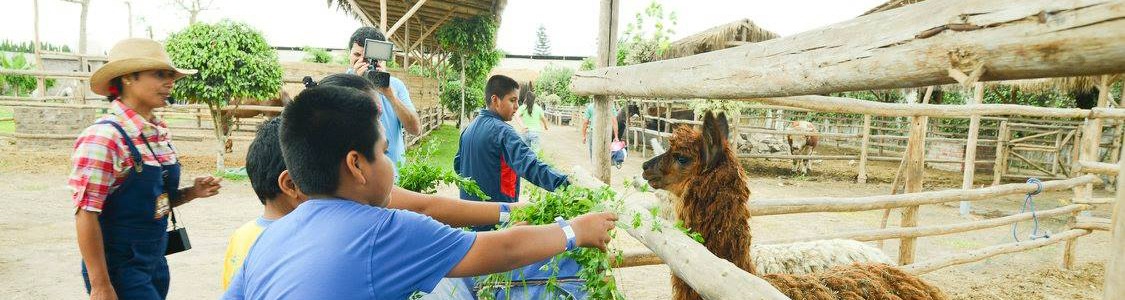 Talleres Granja Fundo San Vicente