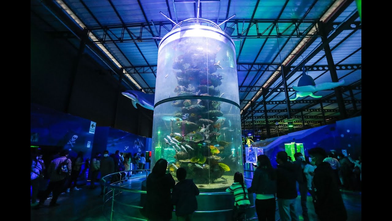 El Parque de la Imaginacion