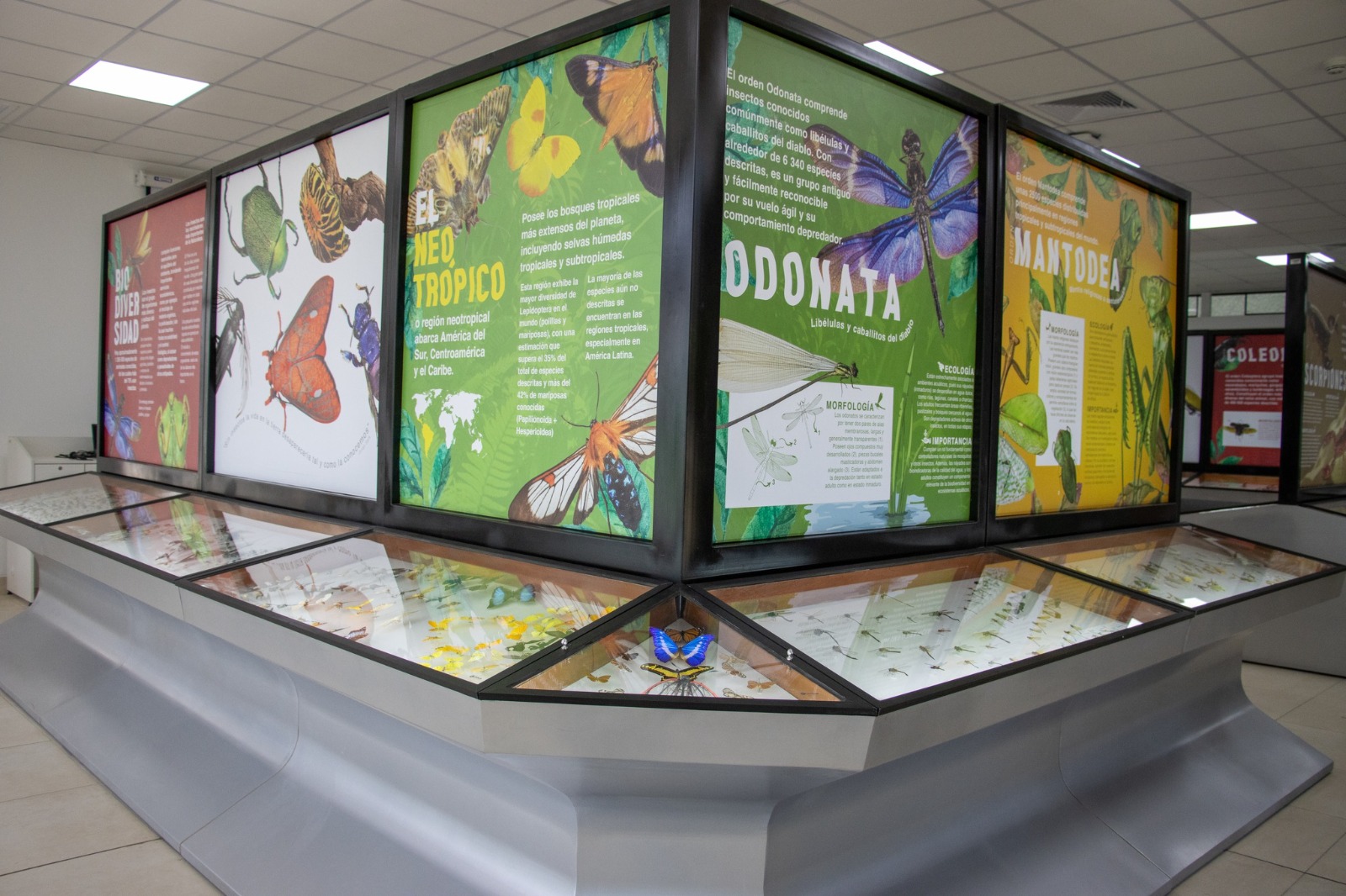 MUSEO DE ENTOMOLOGÍA KLAUS RAVEN BÜLLER