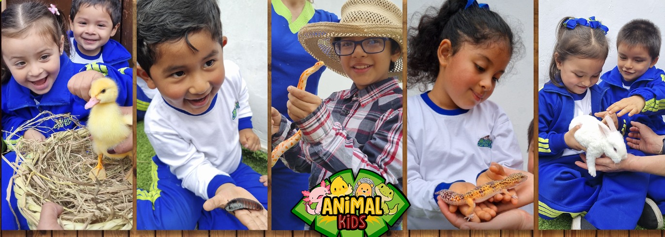 ANIMAL KIDS