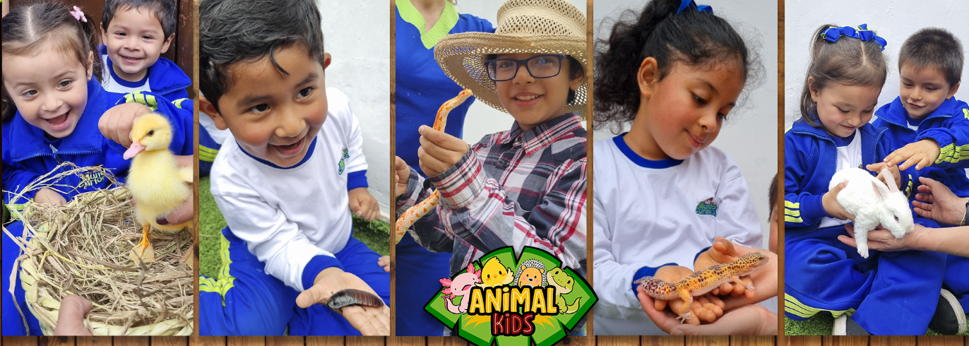 ANIMAL KIDS