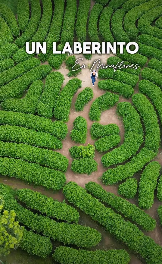 LABERINTO