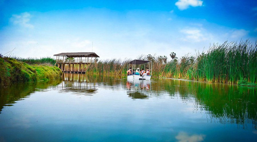 PANTANOS DE VILLA