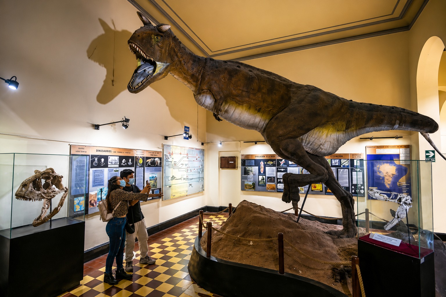 MUSEO DE HISTORIA NATURAL UNMSM